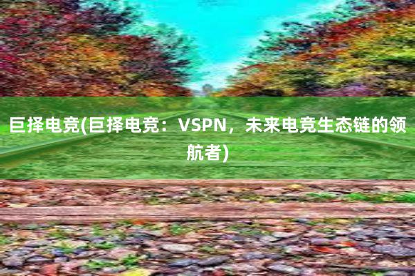 巨择电竞(巨择电竞：VSPN，未来电竞生态链的领航者)