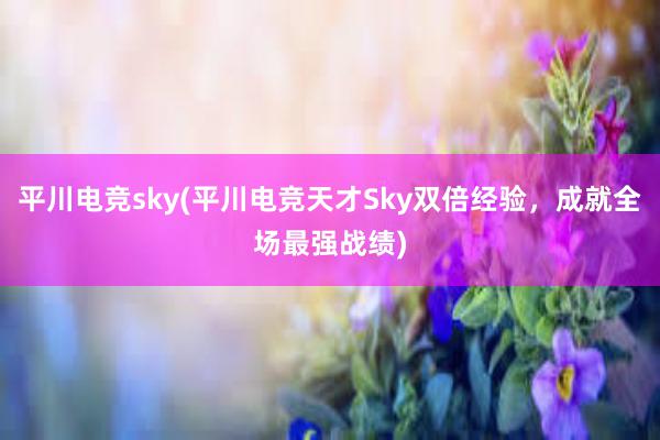 平川电竞sky(平川电竞天才Sky双倍经验，成就全场最强战绩)