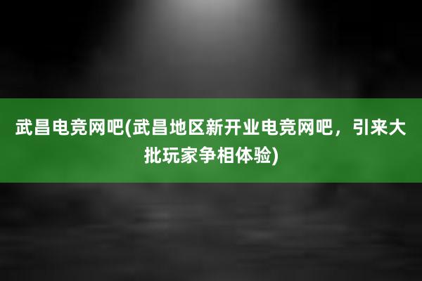 武昌电竞网吧(武昌地区新开业电竞网吧，引来大批玩家争相体验)