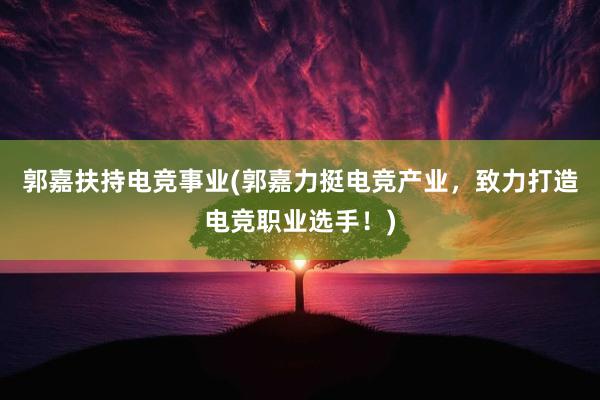 郭嘉扶持电竞事业(郭嘉力挺电竞产业，致力打造电竞职业选手！)