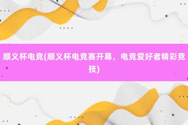 顺义杯电竞(顺义杯电竞赛开幕，电竞爱好者精彩竞技)