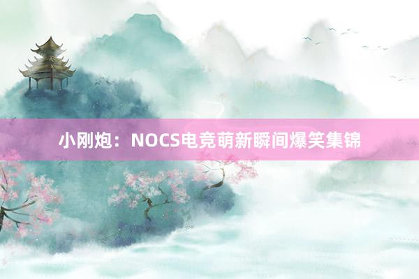 小刚炮：NOCS电竞萌新瞬间爆笑集锦