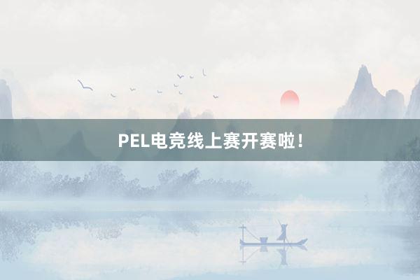 PEL电竞线上赛开赛啦！