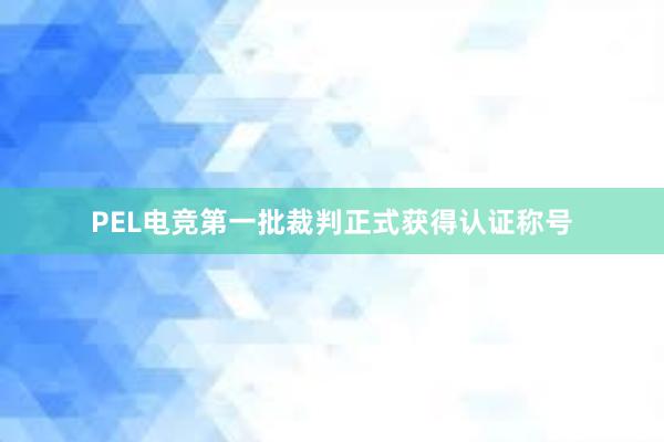 PEL电竞第一批裁判正式获得认证称号