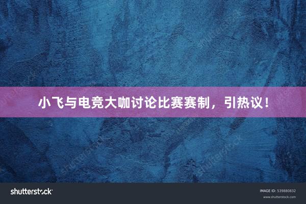 小飞与电竞大咖讨论比赛赛制，引热议！