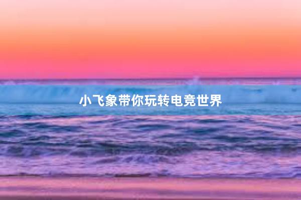 小飞象带你玩转电竞世界