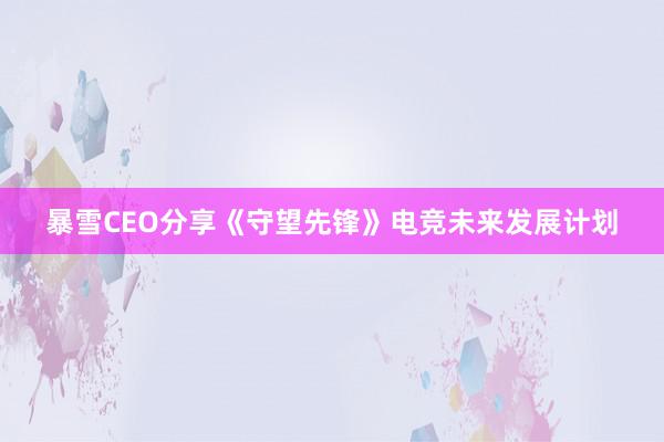 暴雪CEO分享《守望先锋》电竞未来发展计划