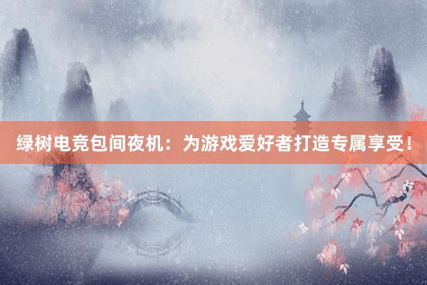 绿树电竞包间夜机：为游戏爱好者打造专属享受！