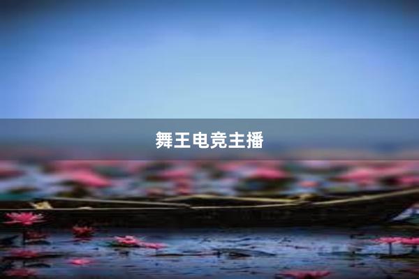 舞王电竞主播