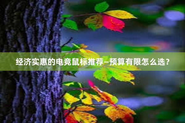 经济实惠的电竞鼠标推荐—预算有限怎么选？